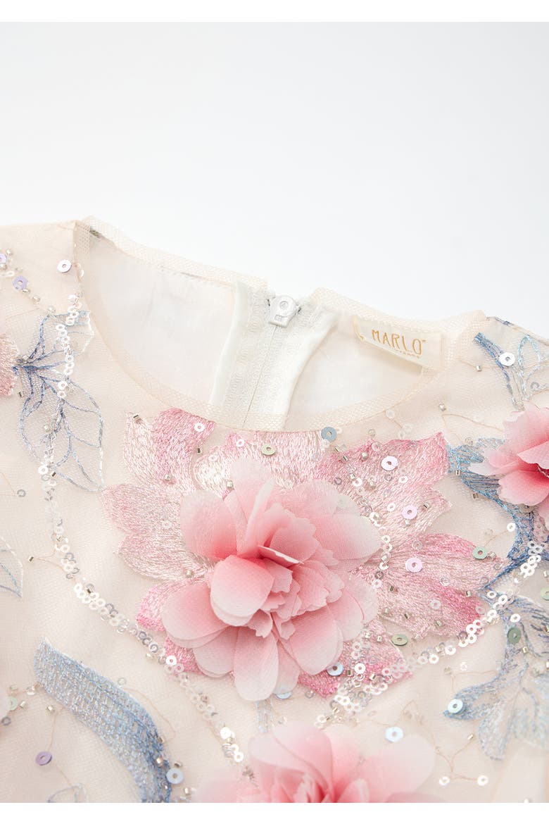 Rosalia Embroidered Mini Dress, Alternate, color, Floral