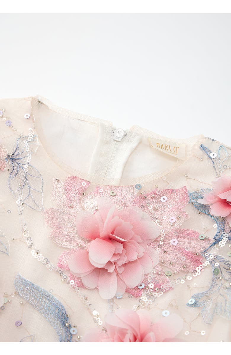 Marlo Kids Rosalia Embroidered Mini Dress, Alternate, color, Floral