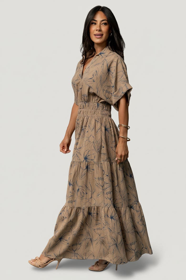 Hedda Tiered Maxi Dress, Alternate, color, Natural + Blue Floral