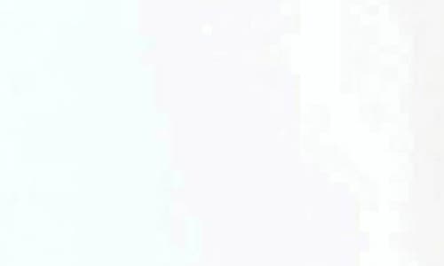 WALTER BAKER WALTER BAKER SHANNON BLAZER JACKET