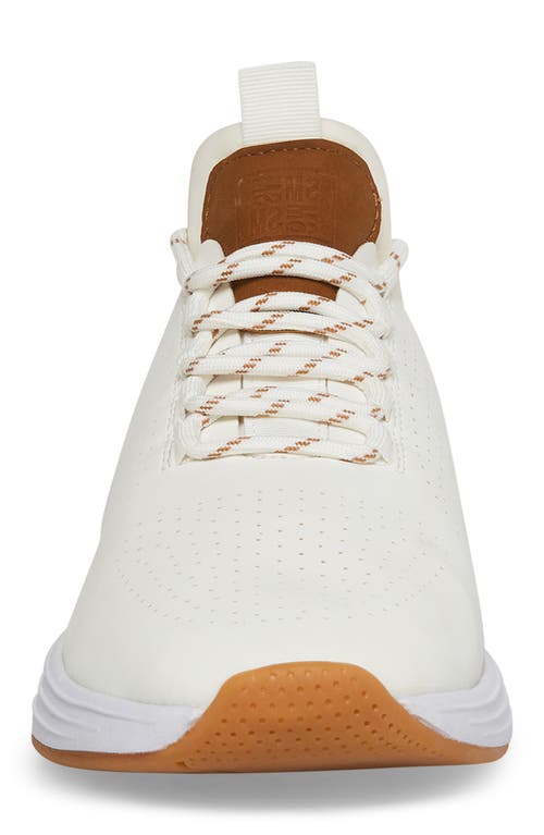 Steve Madden Sakkai Sneaker In White
