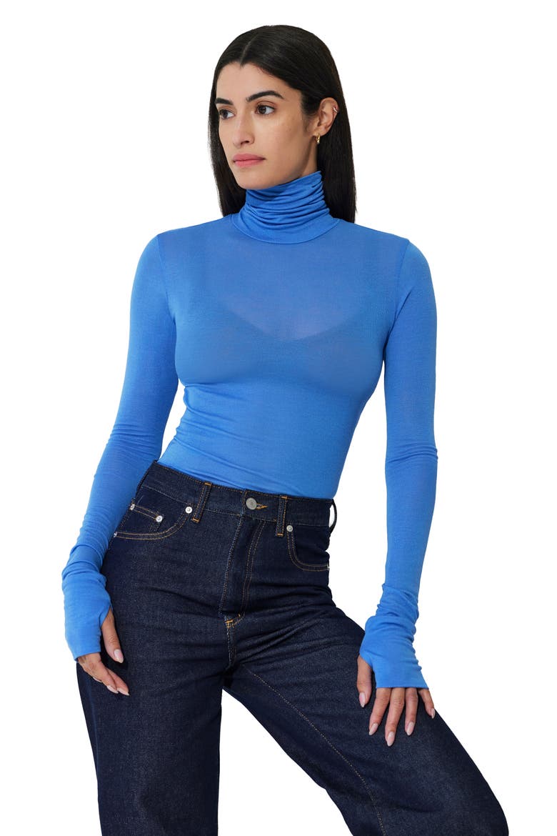 Eloise Sheer Turtleneck Top, Alternate, color, SKY BLUE