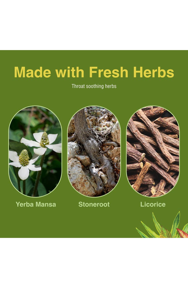 Trace Minerals Singer's Saving Grace Lemon & Honey - Herbal Remedy Spray Aids Throat Comfort & Health - Soothing Hydrating Throat Support - Throat Relief Spray with Licorice - 1 fl oz, Alternate, color, 