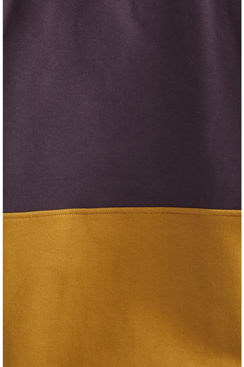 Colorblock Cotton Fleece Half Snap Sweatshirt, Alternate, color, RAISIN / MIEL FONCE