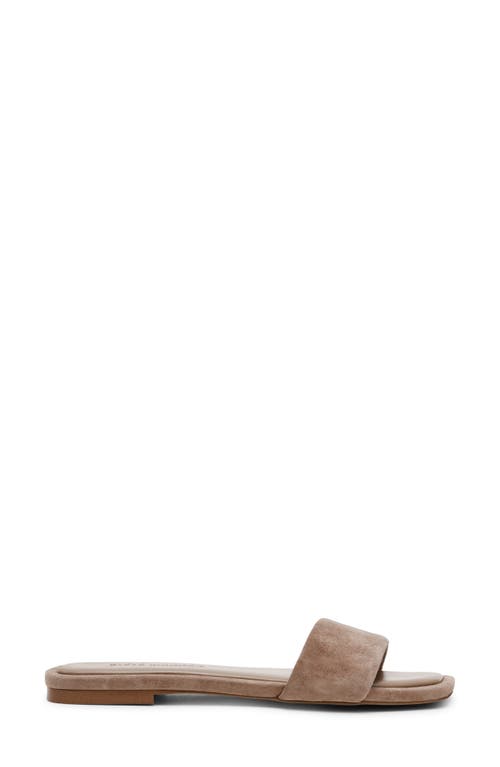 Shop Steve Madden Lumina Slide Sandal In Taupe Suede