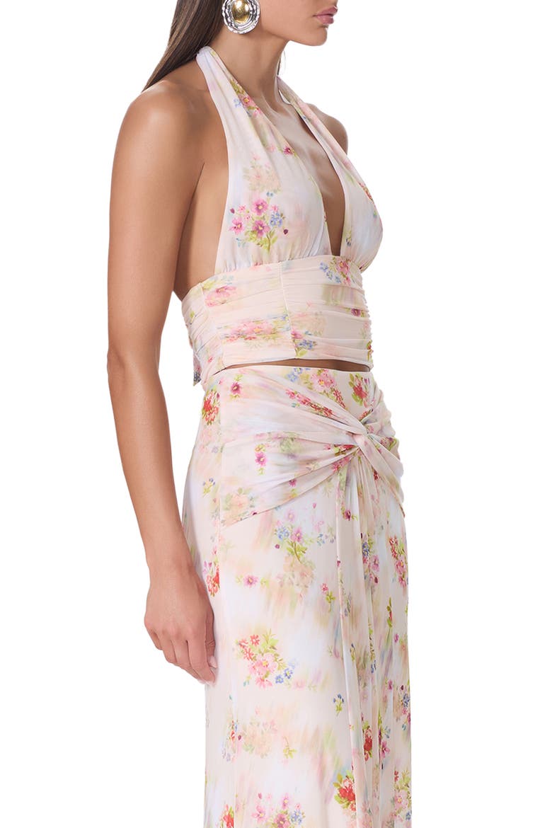 Gabriella Floral Plunge Halter Top, Alternate, color, SUMMER BLUR DITSY