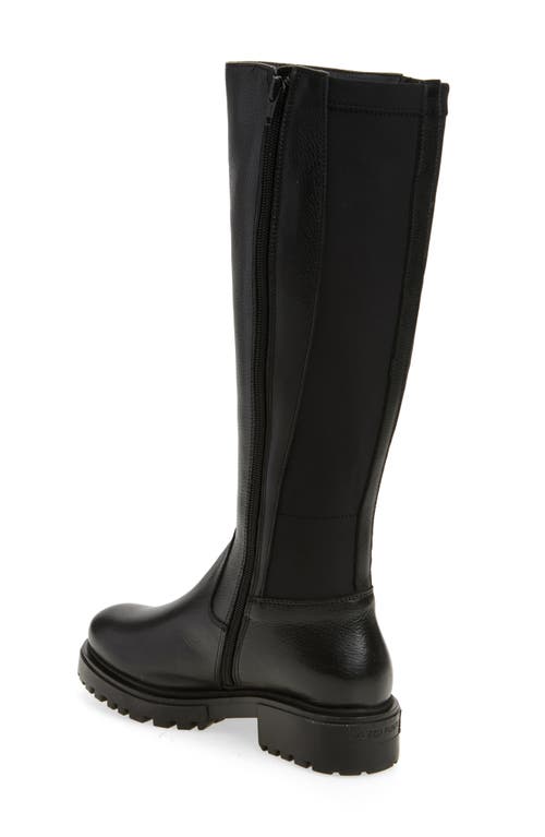 Chocolat Blu Frisco Knee High Boot In Black