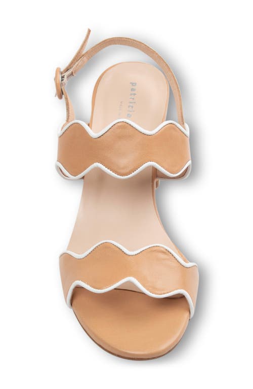 Shop Patricia Green Palm Beach Piped Sandal In Tan/white