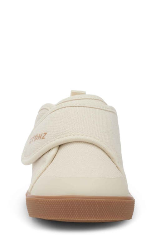 Stonz Cruiser Sneaker In Oatmeal