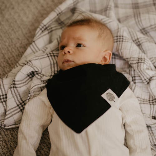 PARKER BABY CO. PARKER BABY CO. BANDANA BIB SET 