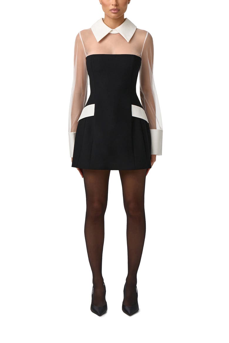 Sheer Panel Long Sleeve Minidress, Main, color, BLACK/ WHITE
