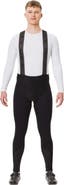 GOREWEAR Distance Winter Bib Tights+ - Men's