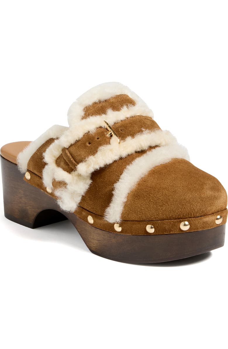 Cinq à Sept Wrenley Genuine Shearling Buckle Clog, Main, color, Golden Sienna