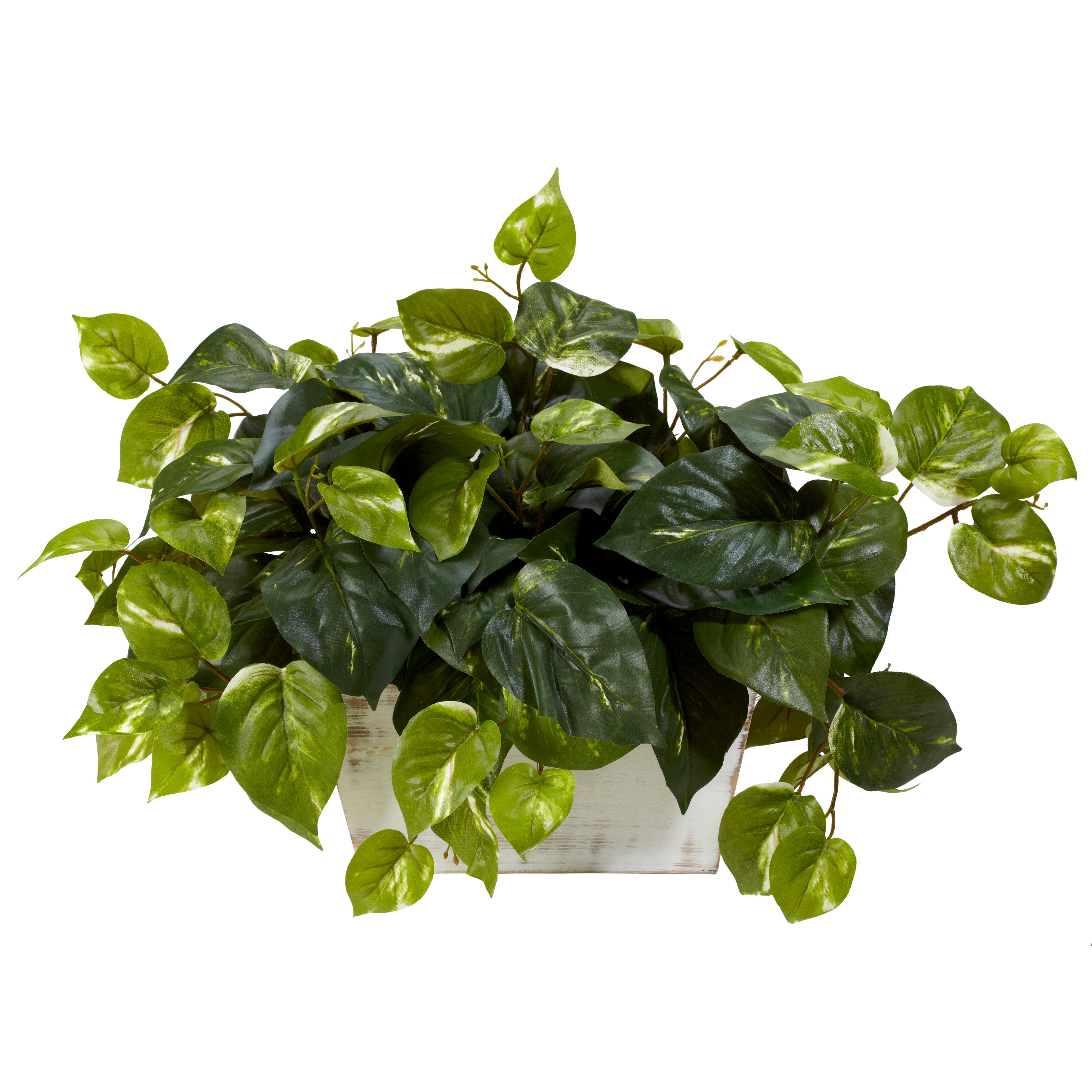 selected Green