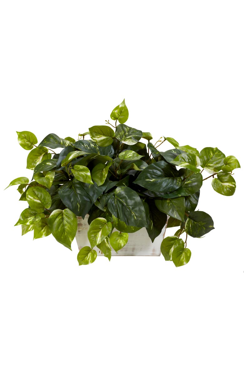 Pothos with White Wash Planter Artificial Plant, Main, color, Green