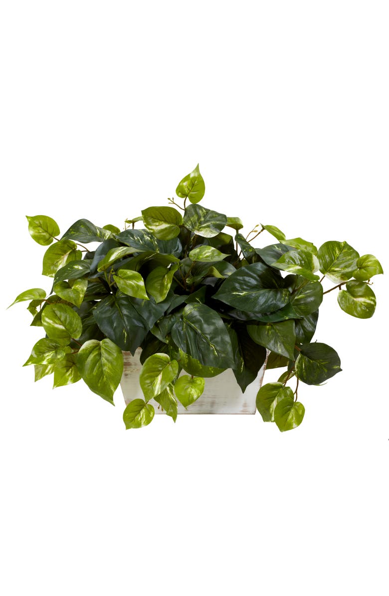 NEARLY NATURAL Pothos with White Wash Planter Artificial Plant, Main, color, Green