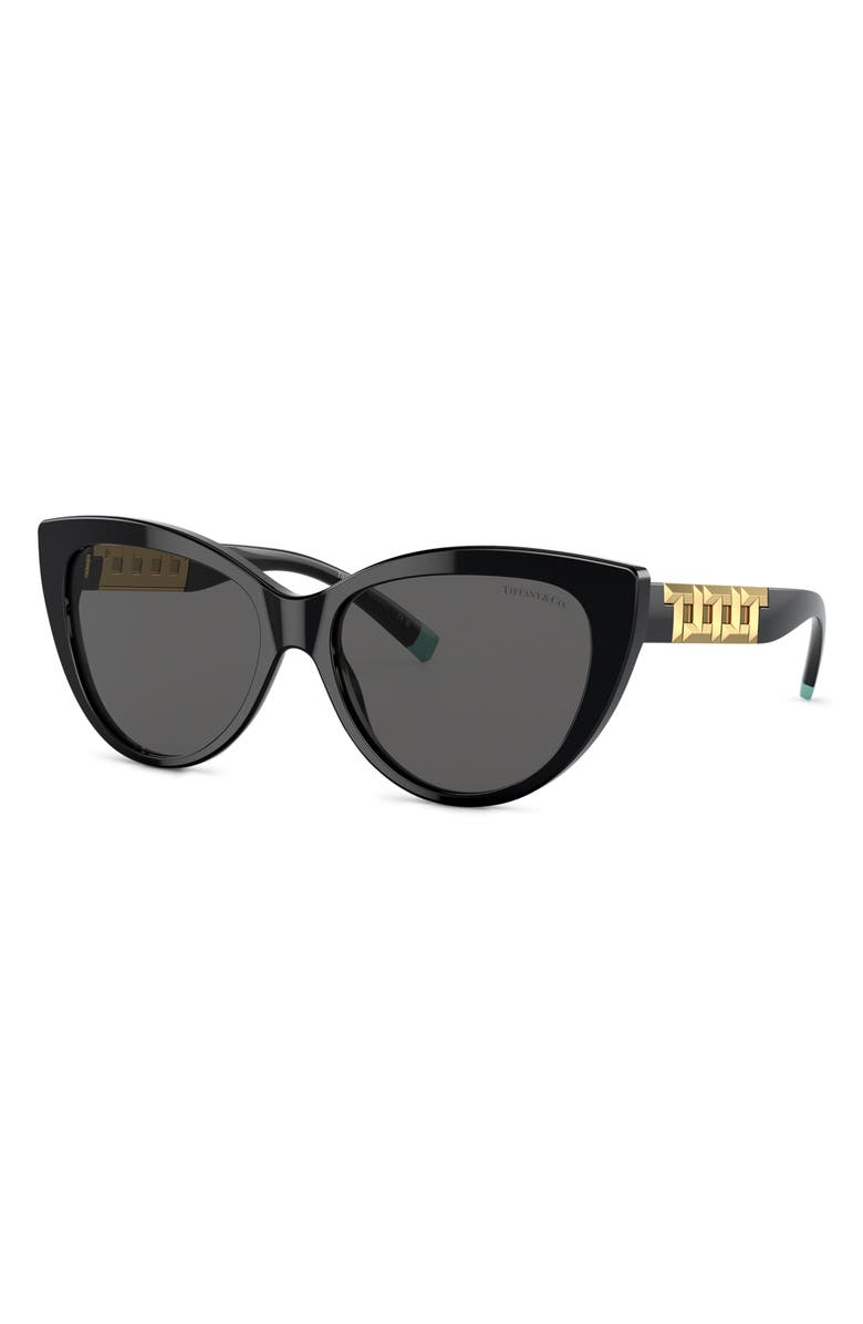 Tiffany & Co. 56mm Cat Eye Sunglasses, Alternate, color, 