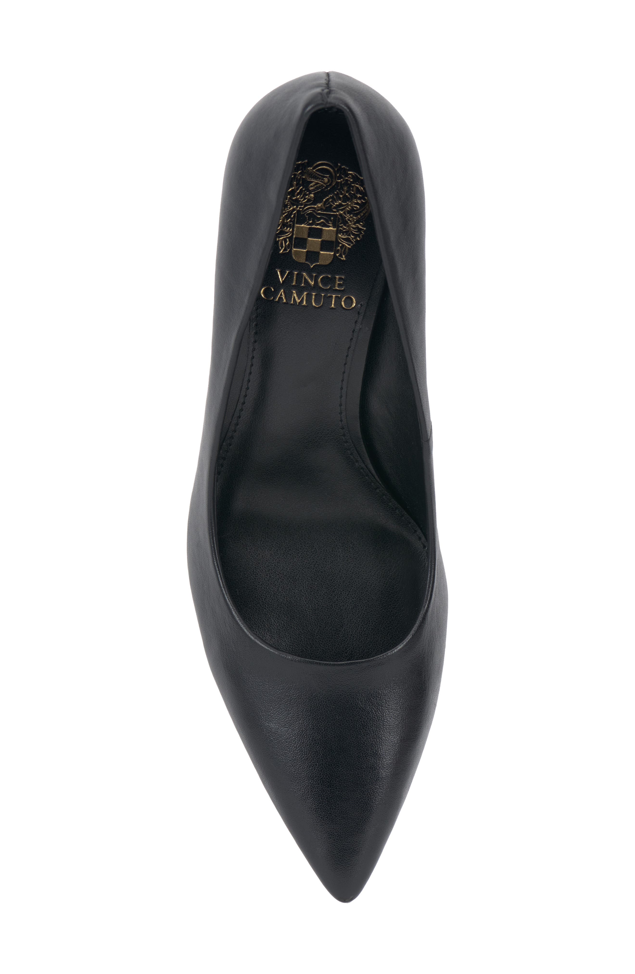 Vince Camuto Brislana Pointed Toe Pump, Alternate, color, Black Leather