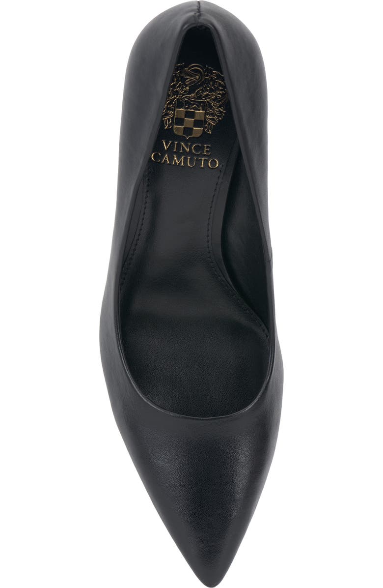 Vince Camuto Brislana Pointed Toe Pump, Alternate, color,
