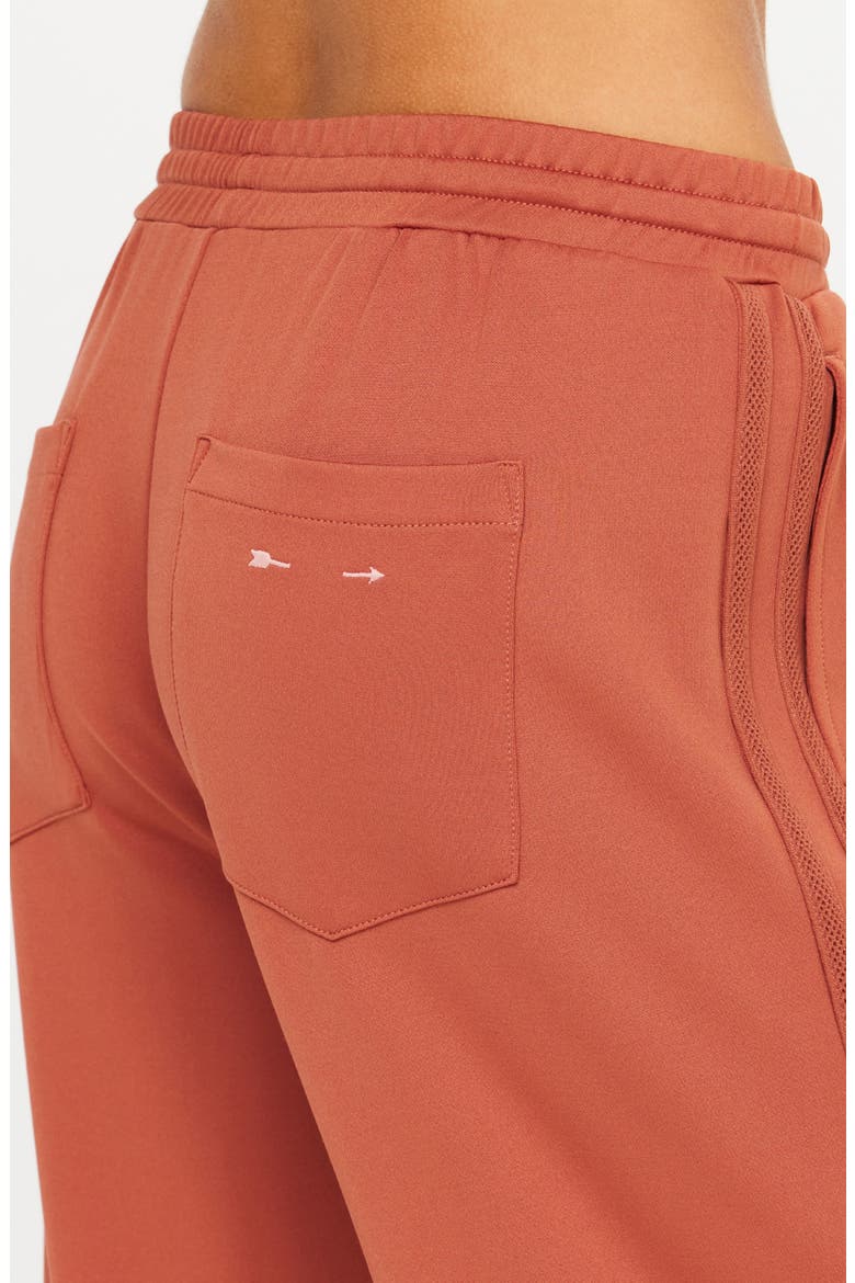 Roma Straight Leg Performance Pants, Alternate, color, PINK