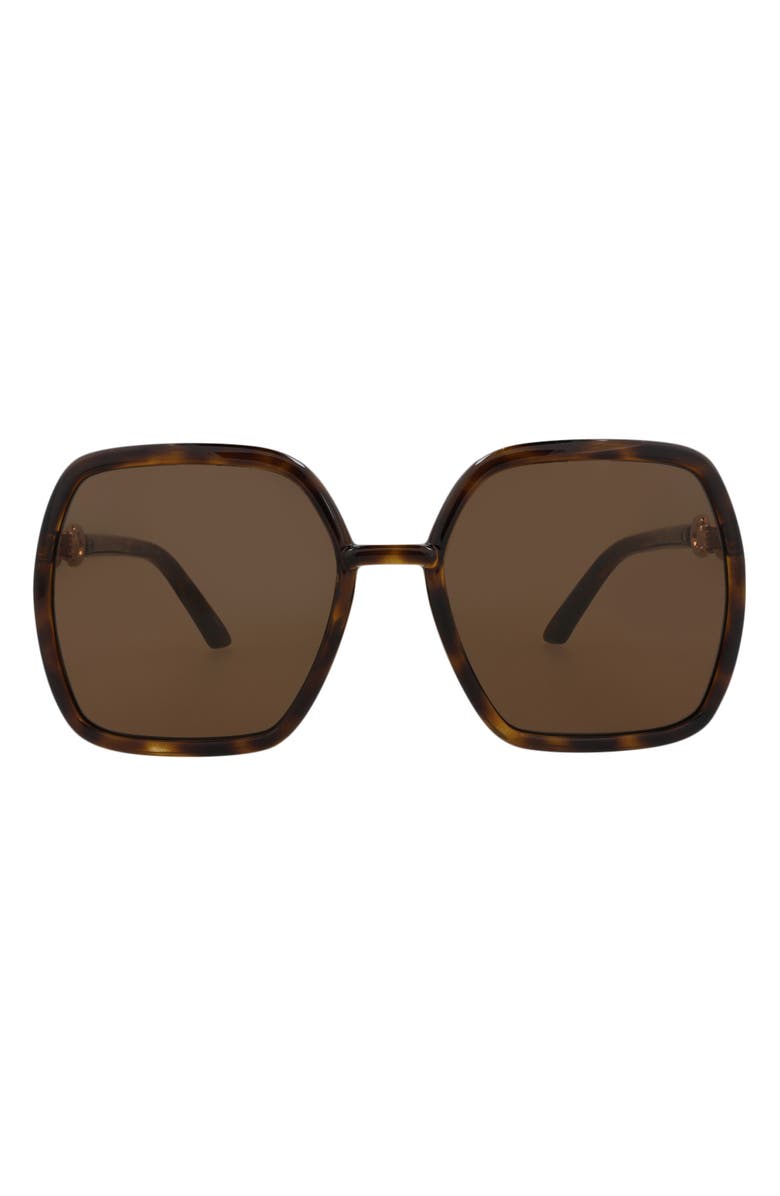 Gucci 55mm Square Sunglasses, Main, color, Havana Havana Brown