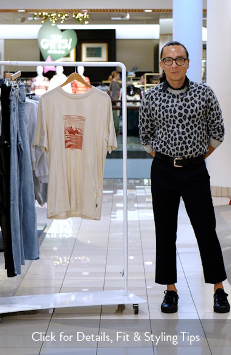 Up the Point Adventure Division Organic Cotton Graphic T-Shirt, sales video thumbnail