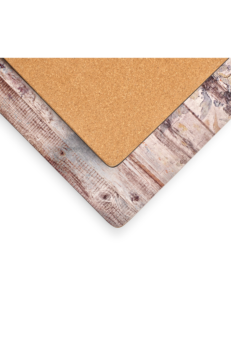 Frozen in Time Set of 4 Cork Back Placemats, Alternate, color, Multi