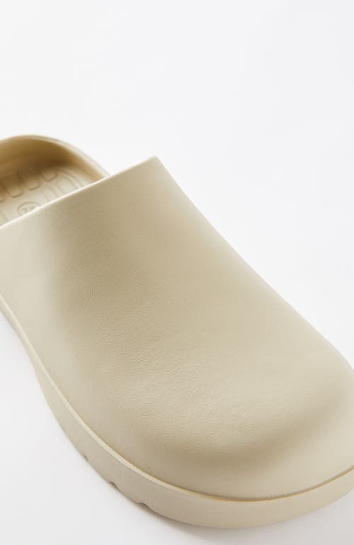 COTTON ON AUSTIN MULE