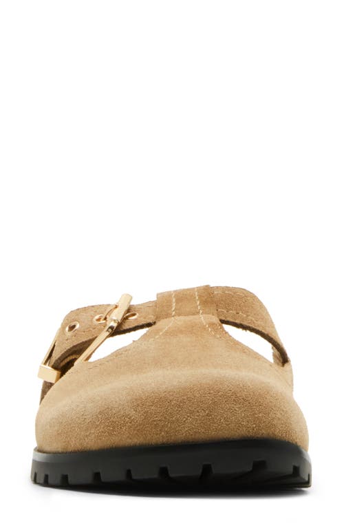 Steve Madden Atticus Clog In Taupe Suede