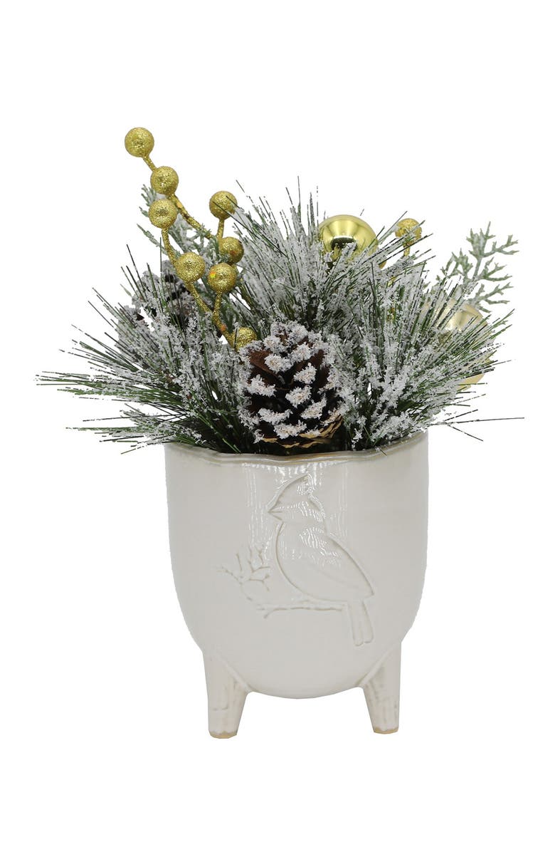 FLORA BUNDA Xmas Mix in 4.5" Cardinal Ceramic Footed Pot, Main, color, White