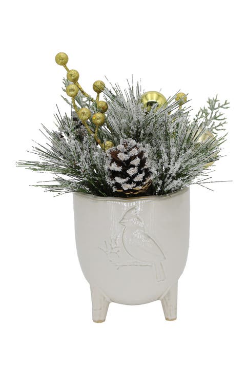 Xmas Mix in 4.5" Cardinal Ceramic Footed Pot