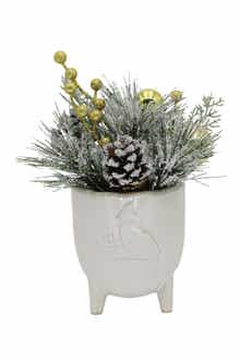 FLORA BUNDA Xmas Mix in 4.5" Cardinal Ceramic Footed Pot