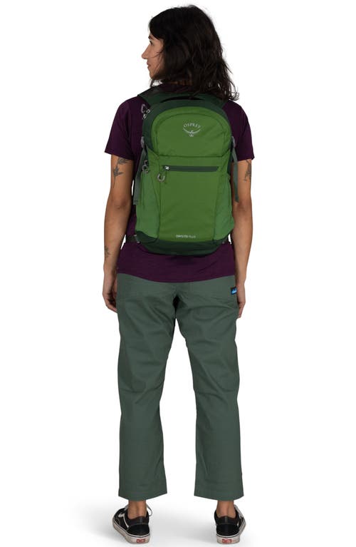 Osprey Daylite Plus Backpack In Green Belt/green Canopy