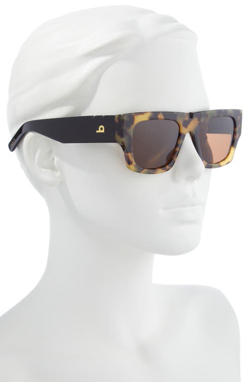 Pared Bread & Butter 51.5mm Cat Eye Sunglasses In Tortoise