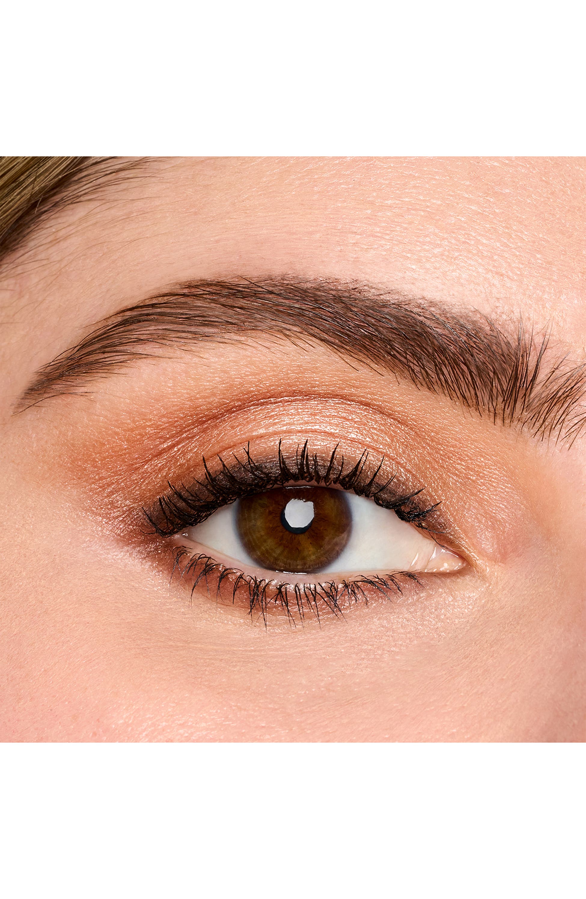 Easy Neutrals Eyeshadow Palette & Eyeliner Set $139 Value