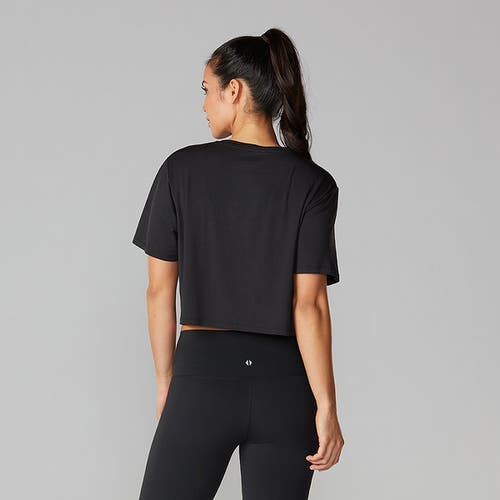 Tavi Crop Tee In Multi