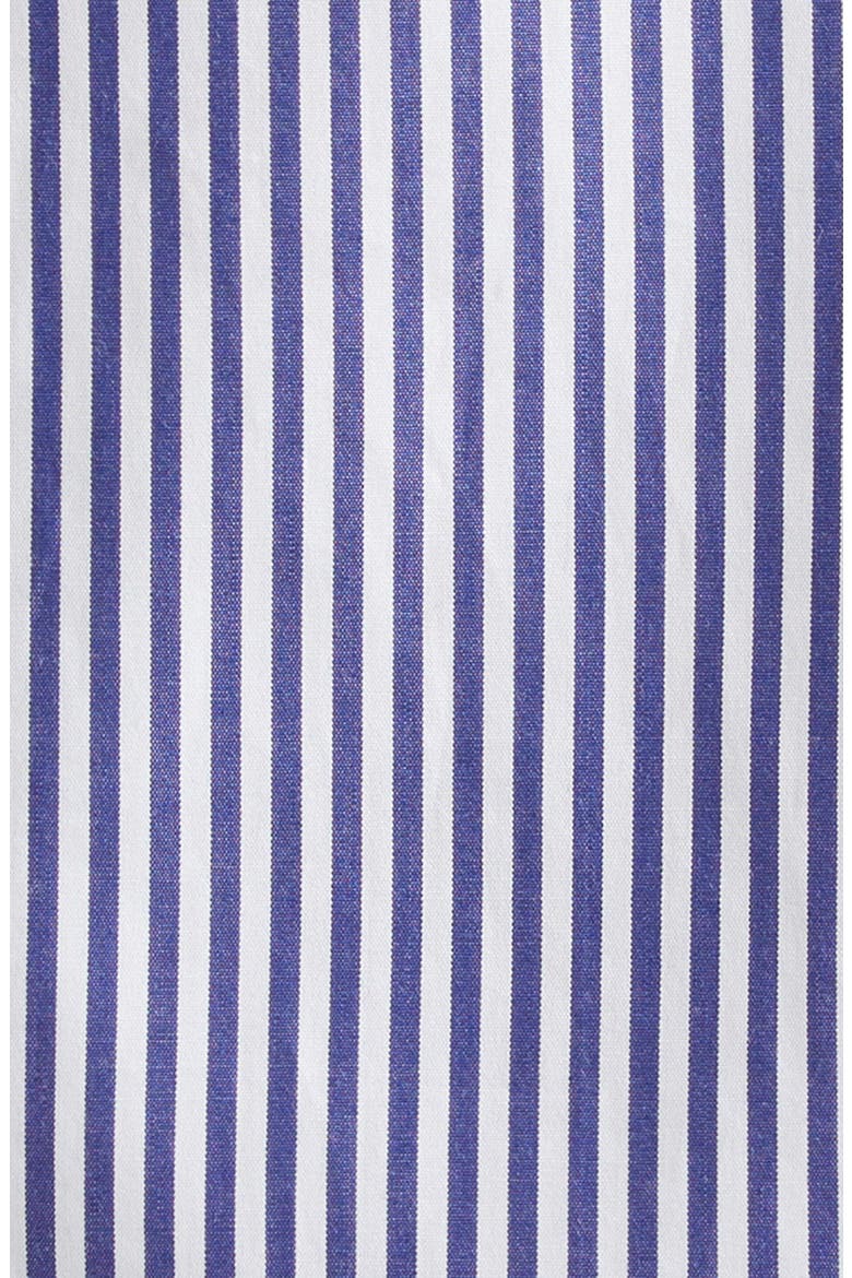 Ana Embroidered Stripe Cotton Button-Up Shirt, Alternate, color, WHITE/ BLUE