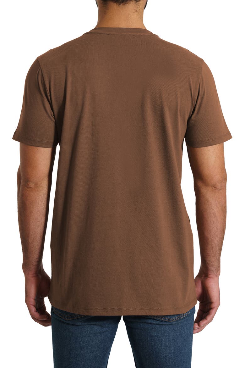 Solid T-Shirt, Alternate, color, BROWN