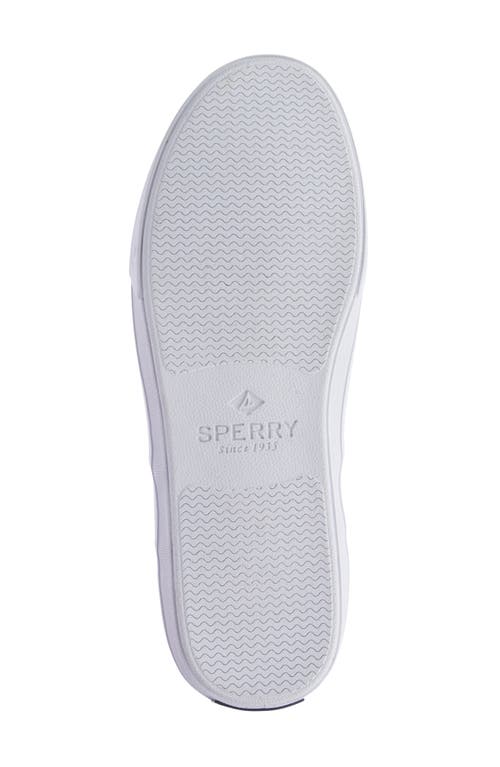 Sperry Striper Ii Cvo Sneaker In Light Pastel Grey