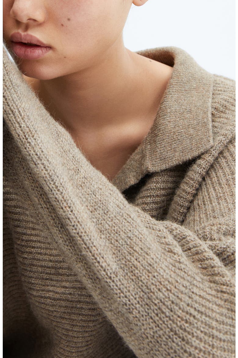 Oversize Rib Polo Sweater, Alternate, color, LIGHT BROWN