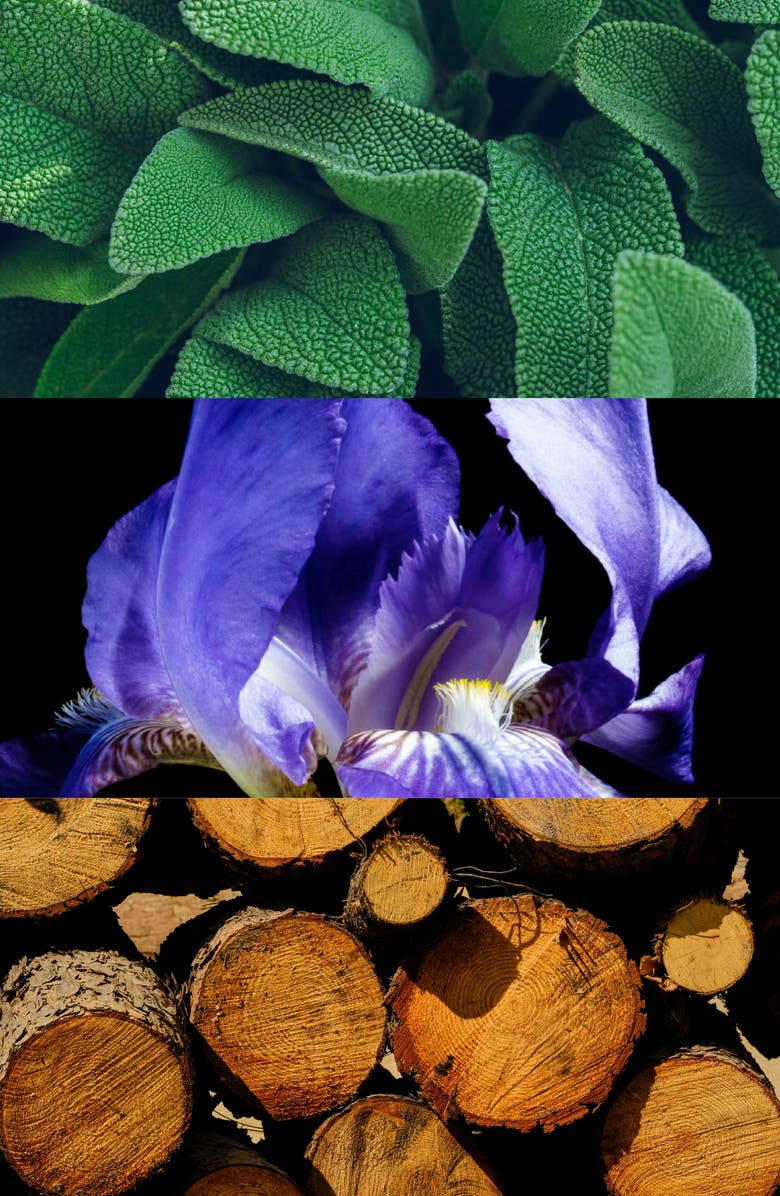 House of Bo Espíritu Parfum, Alternate, color,