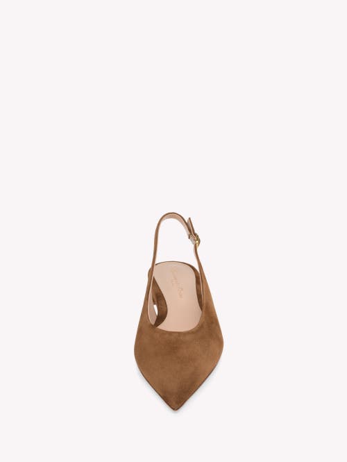 Gianvito Rossi Robbie Sling 05 In Black