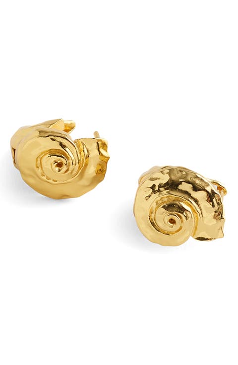 Shell Hoop Earrings