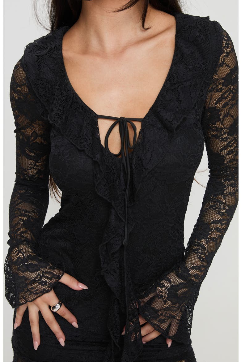 Braun Embroidered Lace Long Sleeve Minidress, Alternate, color, BLACK