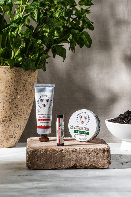 Savannah Bee Company Gardener's Kit In Honey Almond And Spearmint