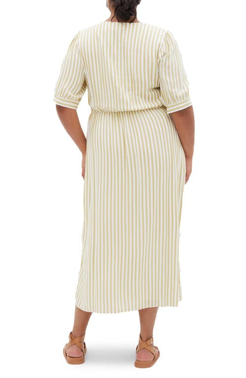 City Chic Charli Stripe Button-up Midi Dress In Ivory Stripe