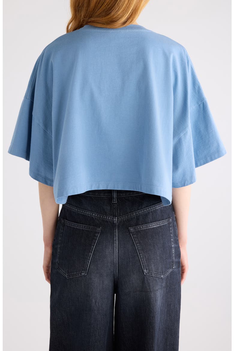 Oversize Signature Logo Crop Graphic T-Shirt, Alternate, color, AIRY BLUE