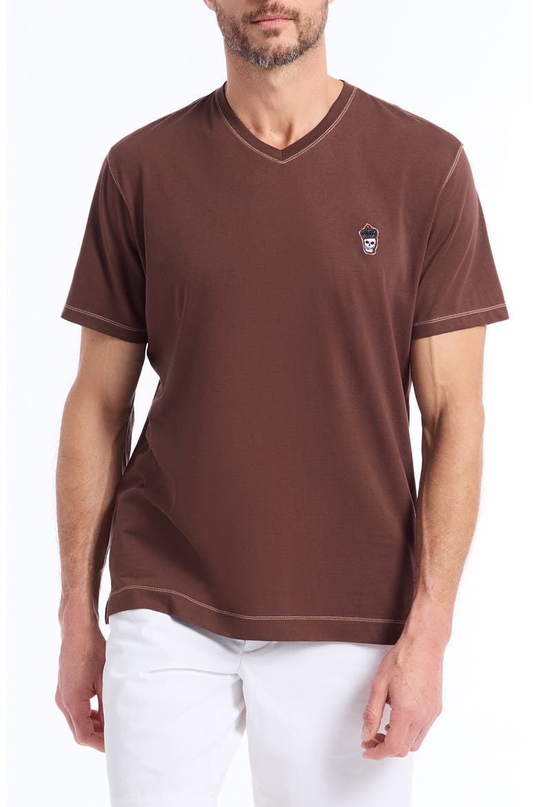 Damien V-Neck T-Shirt, Main, color, BROWN