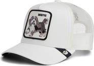 Goorin Bros. Bestie Patch Trucker Hat
