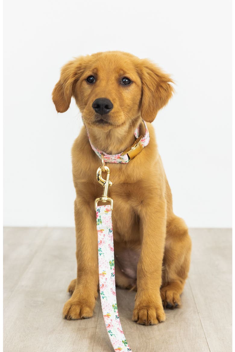 Isabella Dog Leash, Alternate, color, Isabella 4ft